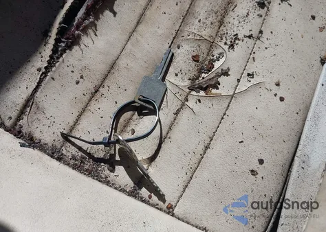 1981 Pontiac Firebird Trans Am из США, поврежденный, VIN 1G2AW87TXBN115829